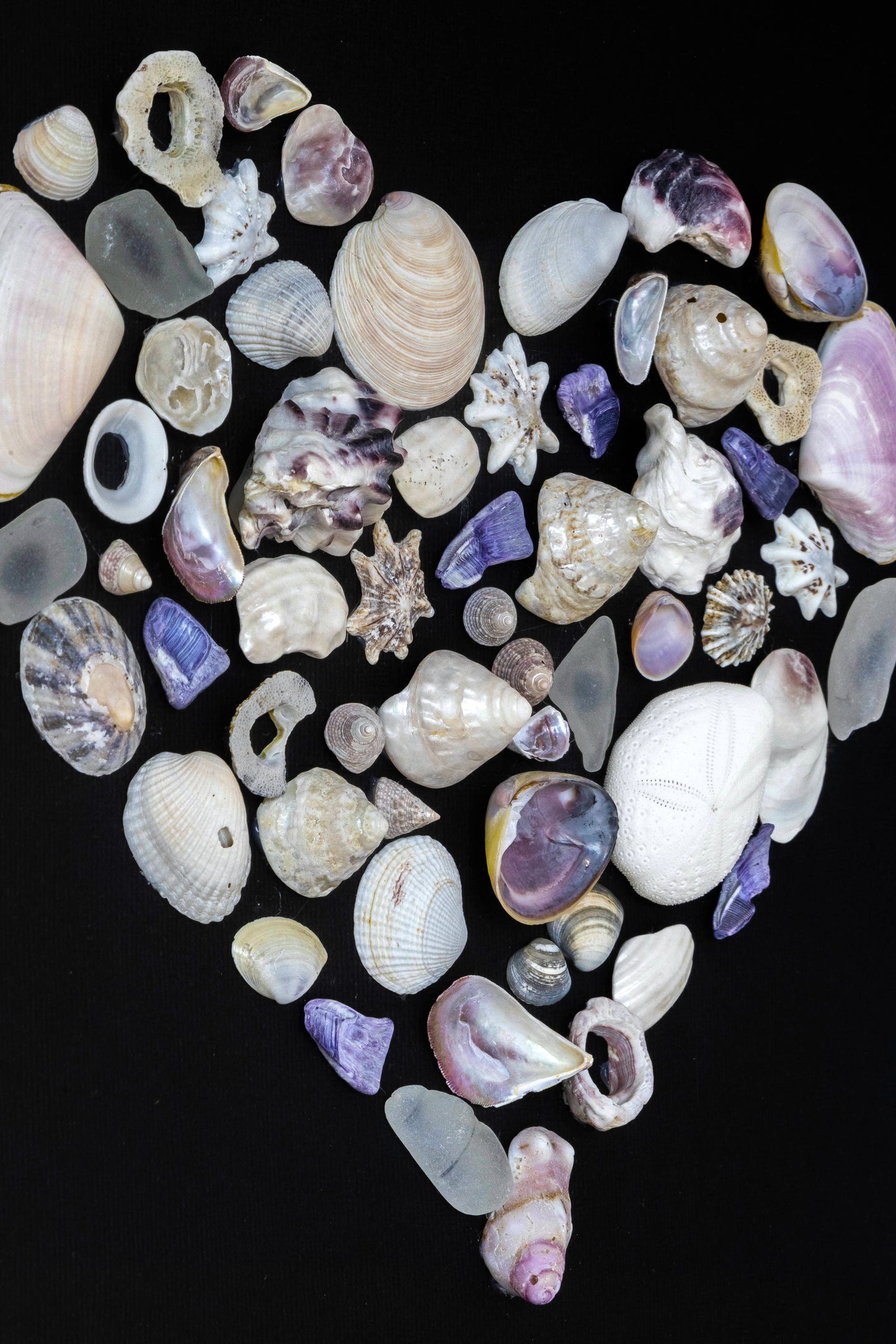 Hand Crafted Shell Heart Framed Hamptons Style for Coastal Beach Decor